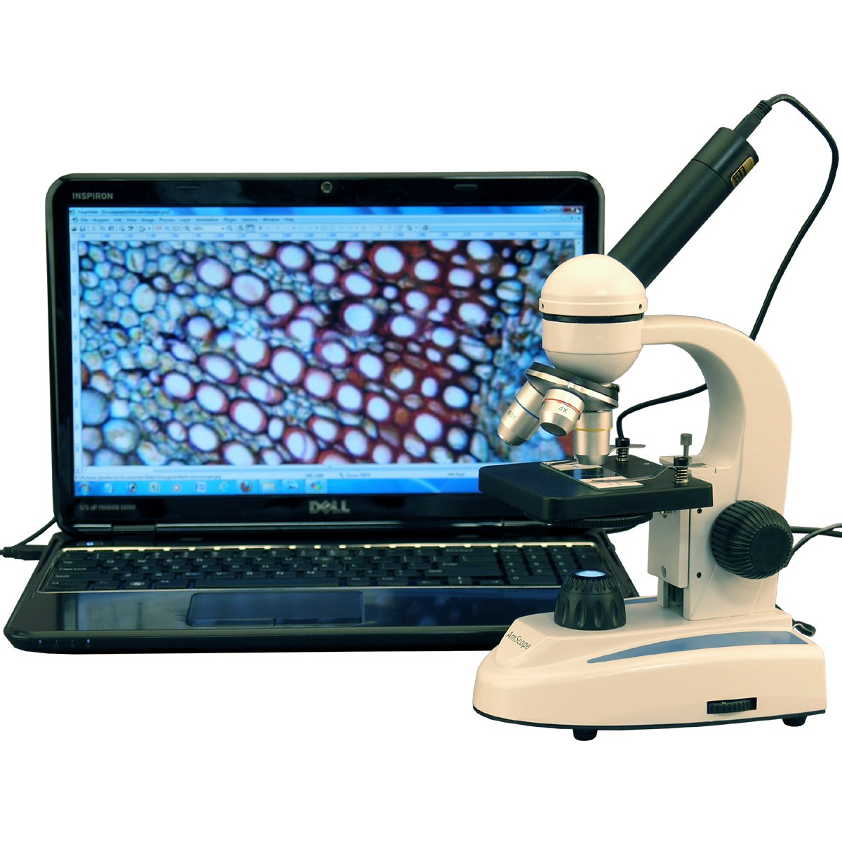 digital microscope software download